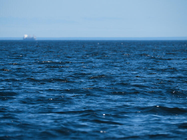 Названы ТОП-3 главные тайны Мирового океана: учёные не нашли объяснение