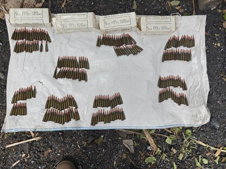 У пенсионера в Горловке изъяли свыше 700 боеприпасов