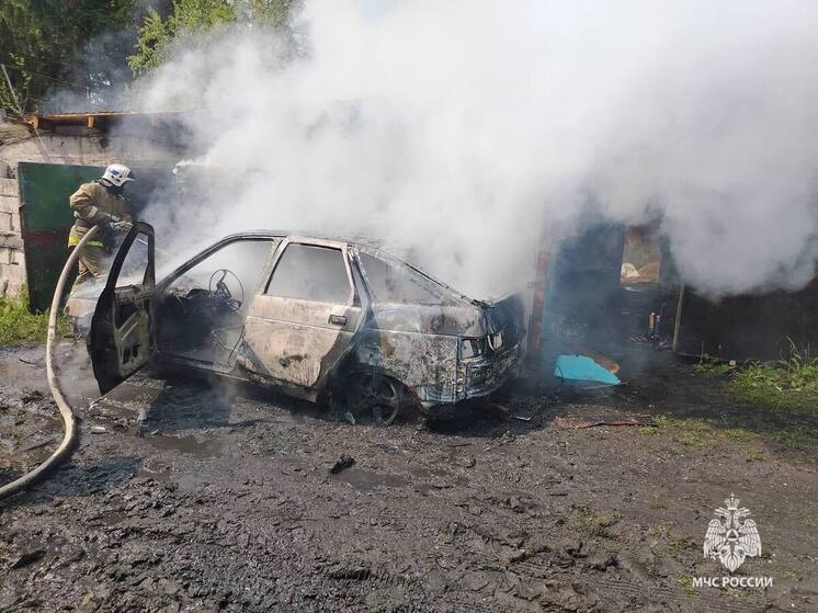 Автомобиль сгорел в Гдовском районе