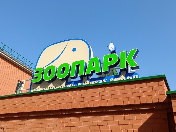 В зоопарке Екатеринбурга родился ленивец