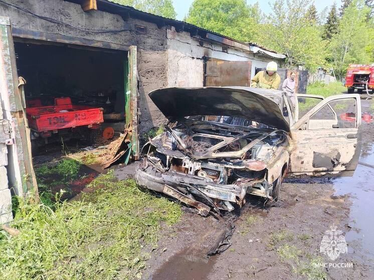 Грузовой автомобиль загорелся в Великолукском округе