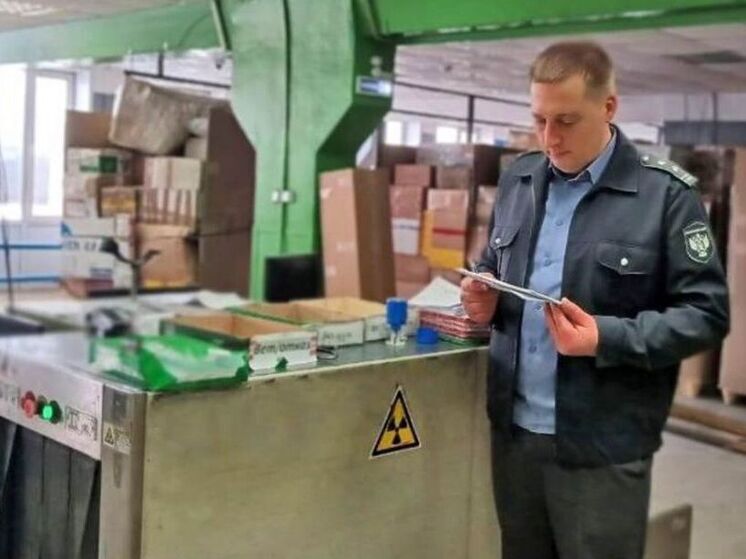 Более 500 международных посылок не пропустили в Брянскую область