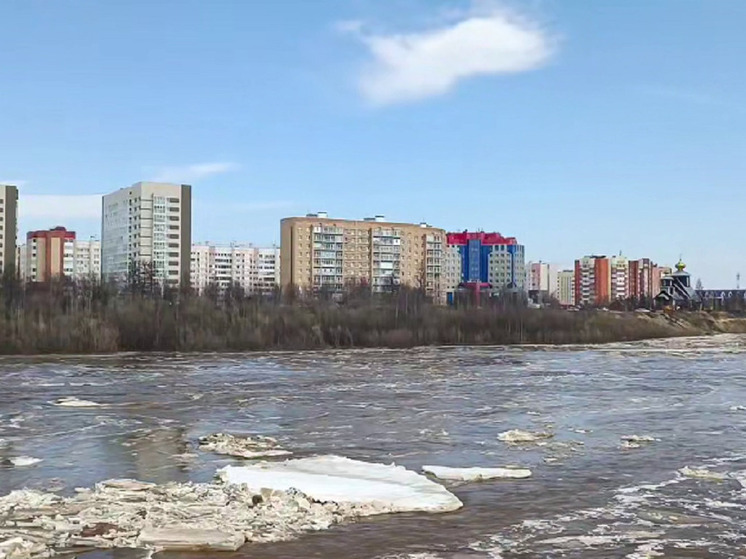 В Новом Уренгое начался ледоход