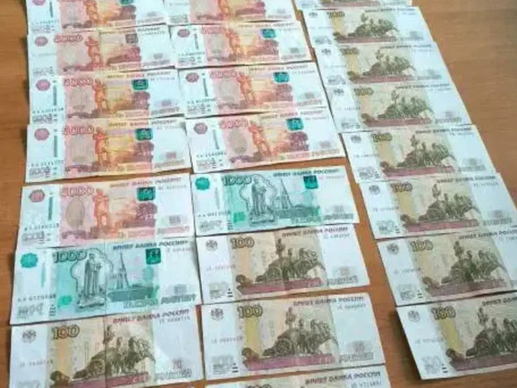 В регионе обнаружили мошенническую схему по хищению бюджетных денег