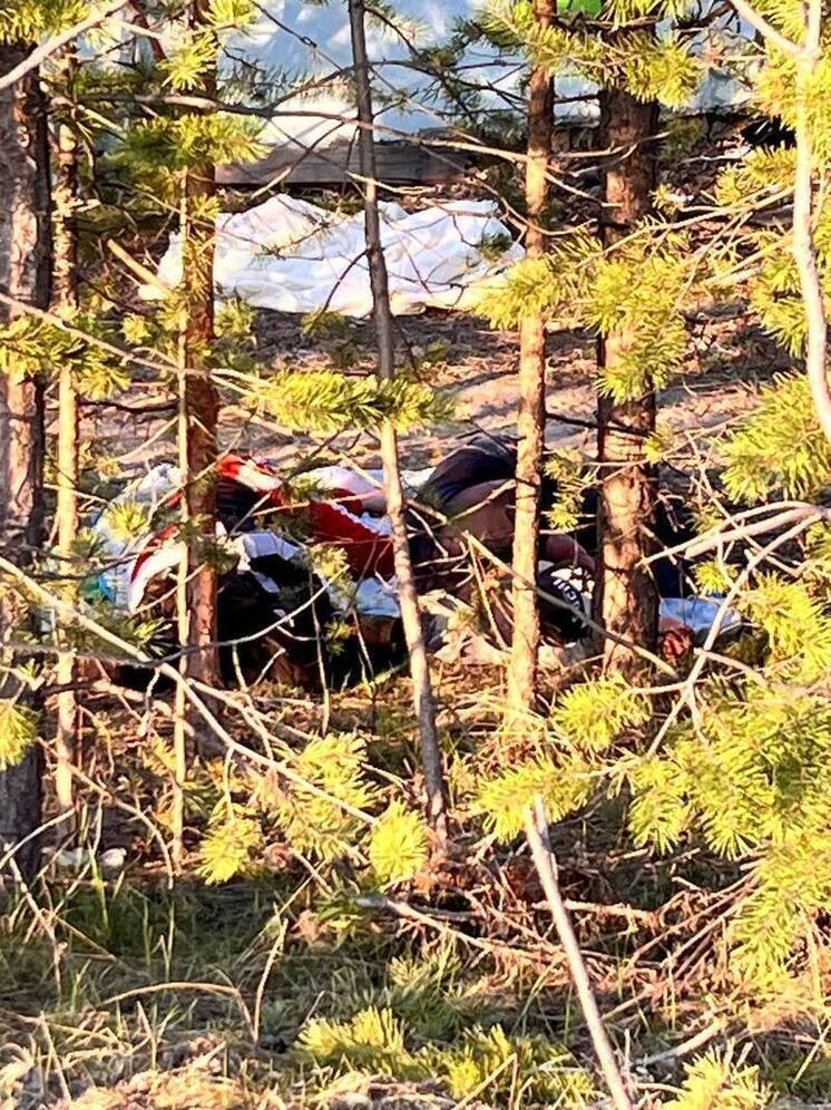 Живущие в кустах бомжи матом и палками пугают ноябрян