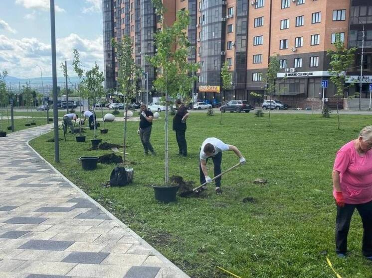В Ессентуках в День эколога высадили новые деревья