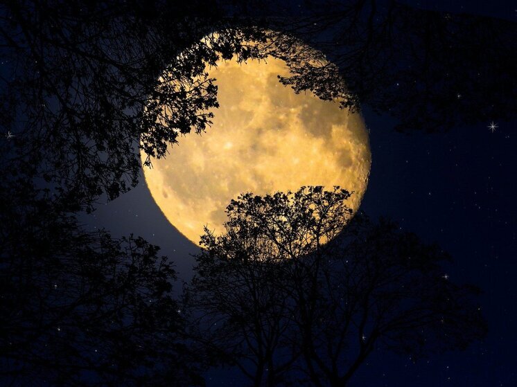 Starwalk: La luna llena del 11 de junio será