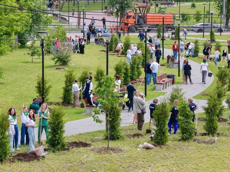 90 туй высадили в Ленинском районе Нижнего Новгорода