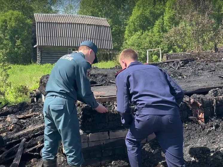 В Новгородской области задержали поджигателя, устроившего смертельный пожар