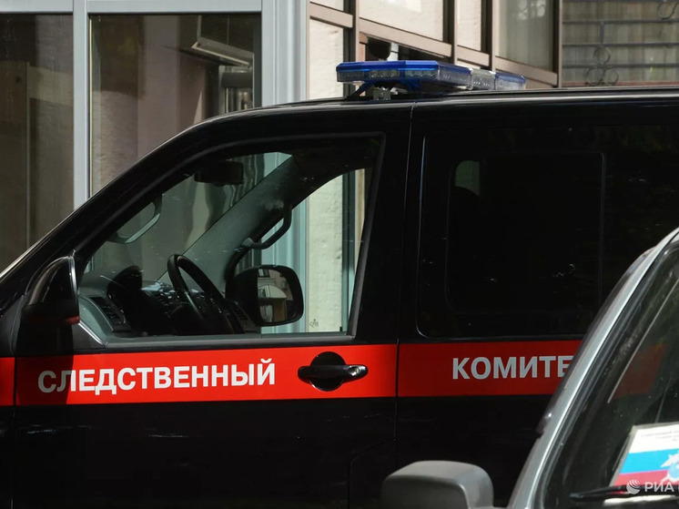СК проводит проверку по факту травмирования ребенка в парке в Липецке