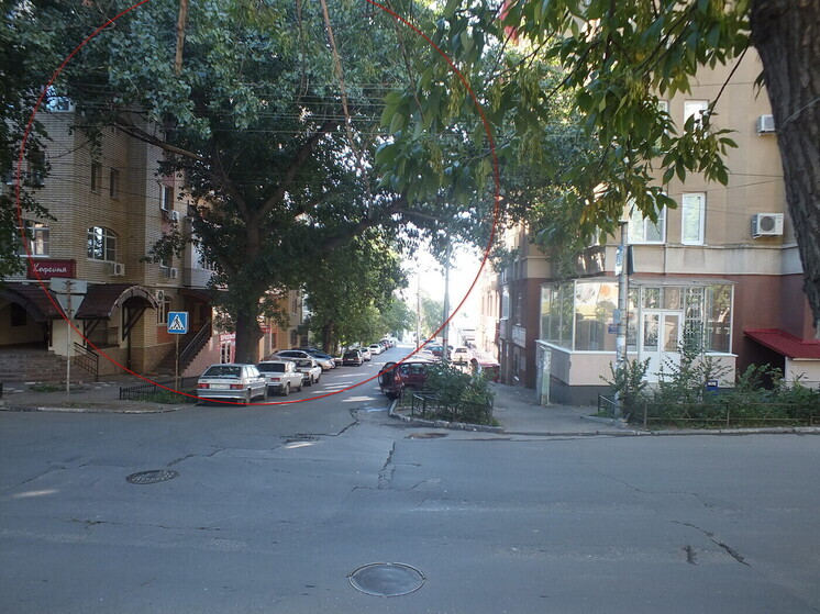 В Саратове уничтожено "дерево скаутов"