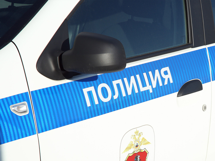 Силой отняли сумку с деньгами у курьера, который до этого обманул 53-летнего москвича, двое грабителей на востоке столицы