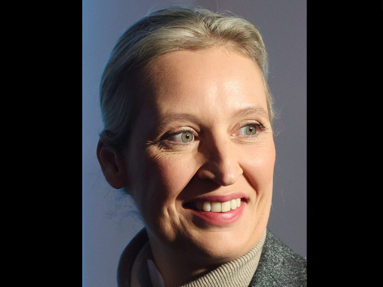 Вайдаль заявила о безумных планах Мерца бороться с Россией