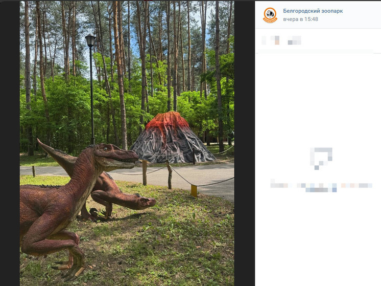 В Белгороде появился «живой» вулкан