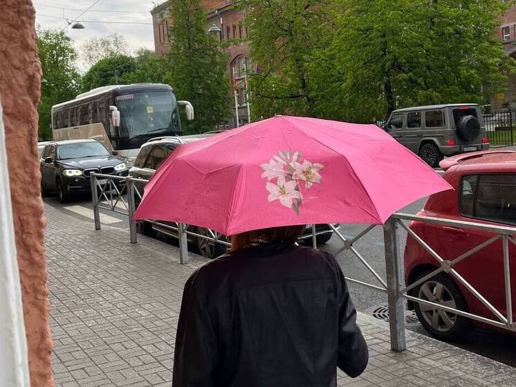 В Мурманской области 6 июня ожидаются дожди и до +22 градусов