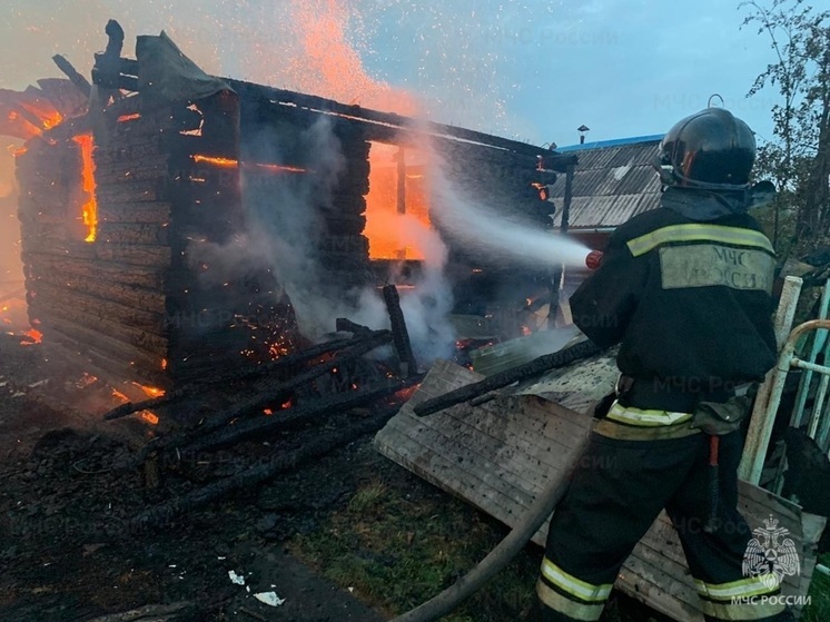 Хозяин частного дома погиб при пожаре в уральском поселке