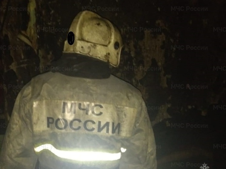 На Среднем Урале в сгоревшем доме обнаружили труп мужчины