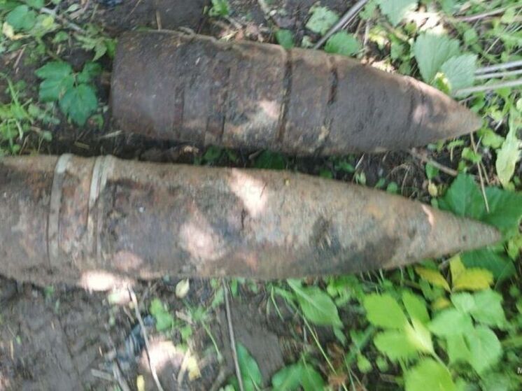 В брянском городе Клинцы обезвредили два артснаряда времен войны