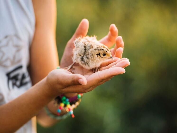 ВТБ и Фонд защитников природы объединят усилия для сохранения заповедников