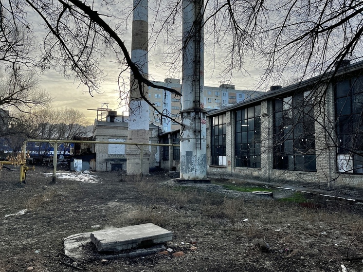 В Энгельсе рабочего насмерть затянуло в движущуюся ленту