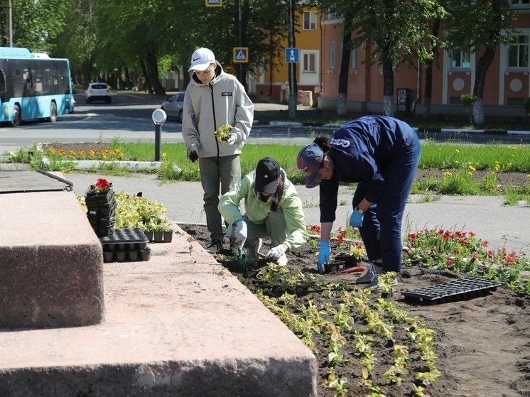 Северодвинск расцветает