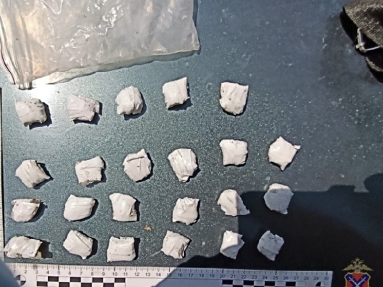 Камышанину грозит до 20 лет тюрьмы за покушение на сбыт наркотиков