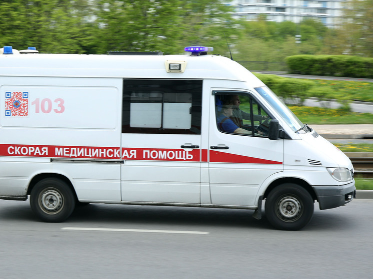 Девочку 14 лет после укуса змеи спасли в Подмосковье