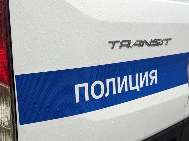 Бдительные сельчане помогли задержать пьяного абаканца за рулем