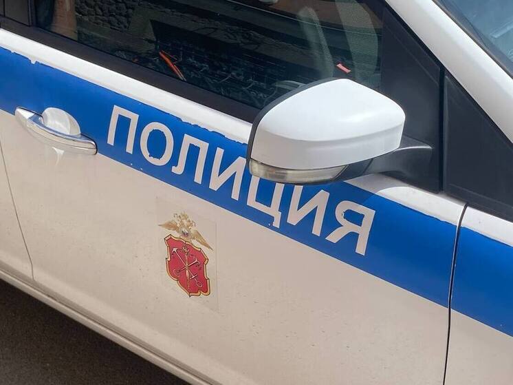 Во Всеволожском районе нашли новорожденного ребенка в пакете на улице