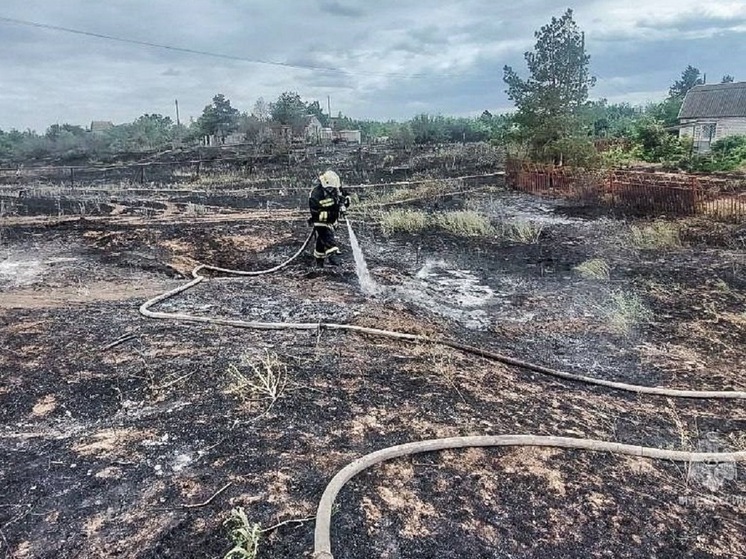 Огнеборцы потушили пожары на волгоградском острове Сарпинском