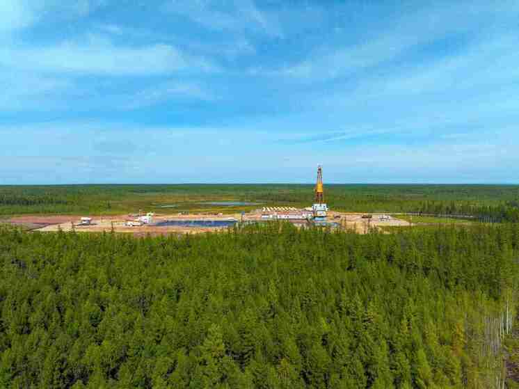 Высадка миллионов деревьев и переработка тонн отходов — новые подходы к заботе о природе