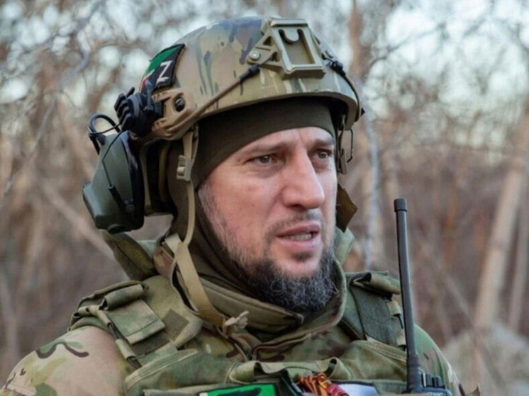 Алаудинов заявил, что ВС РФ идут вперед по всей линии соприкосновения