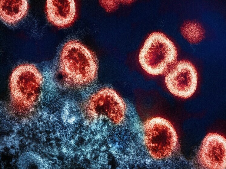 Desarrollan un método innovador para detectar el VIH en los leucocitos