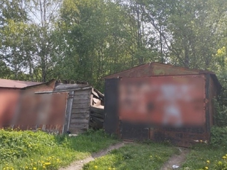 В Петрозаводске по инициативе жителей снесут голубятню и гараж