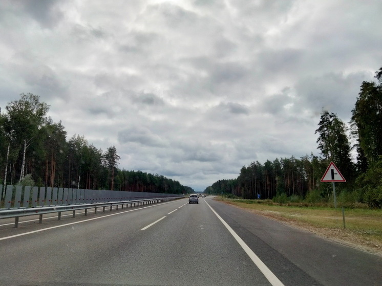 В этом году на дорогах Марий Эл установят более 2000 делиниаторов