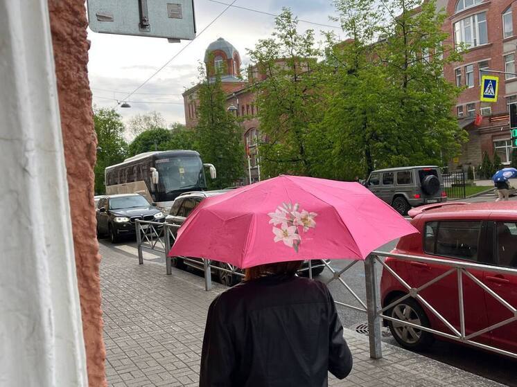 В Северную столицу нагрянет дождь днём 6 июня