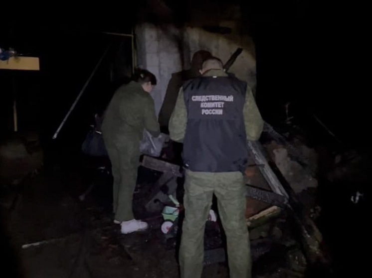 Из-за гибели женщины и ребёнка в тульском пожаре возбуждено уголовное дело