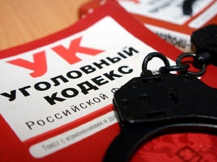 За призывы к экстремизму в тг задержали жительницу Запорожской области