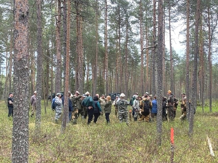 В Калининградской области состоялись тренировки по лесоустройству