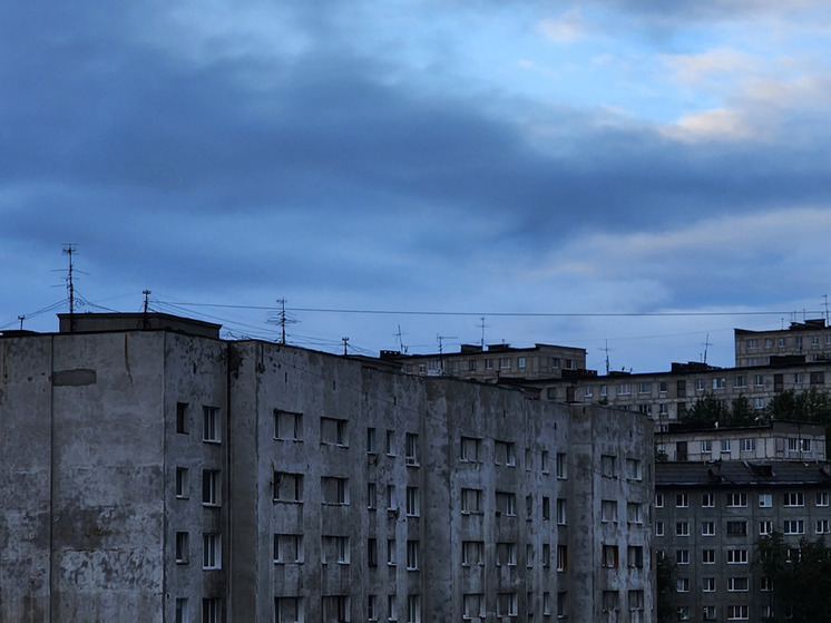 Мурманские фильмы завоевали призы на всероссийском кинофестивале «Белая Птица – 2025»