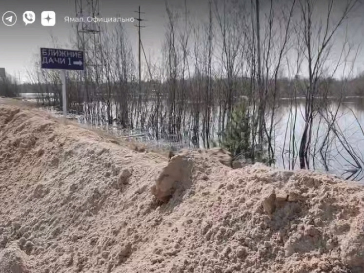 Уровень воды Пяку-Пур в Тарко-Сале за 4 дня упал на 31 сантиметр