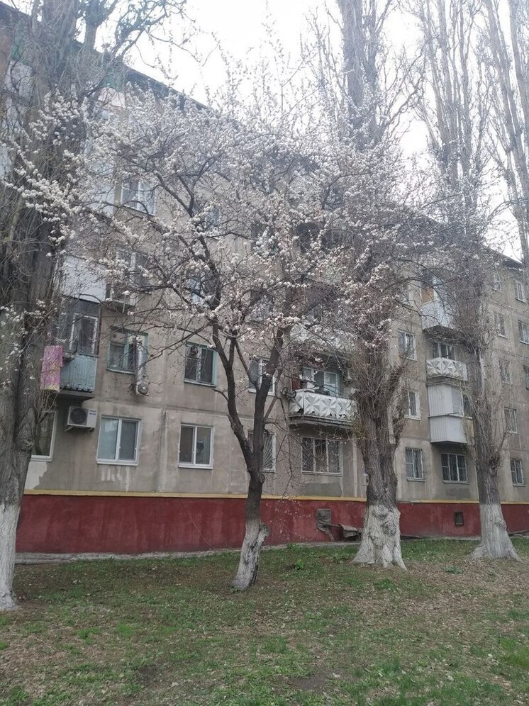 Все районы Саратова попали в списки ремонта междворовых территорий