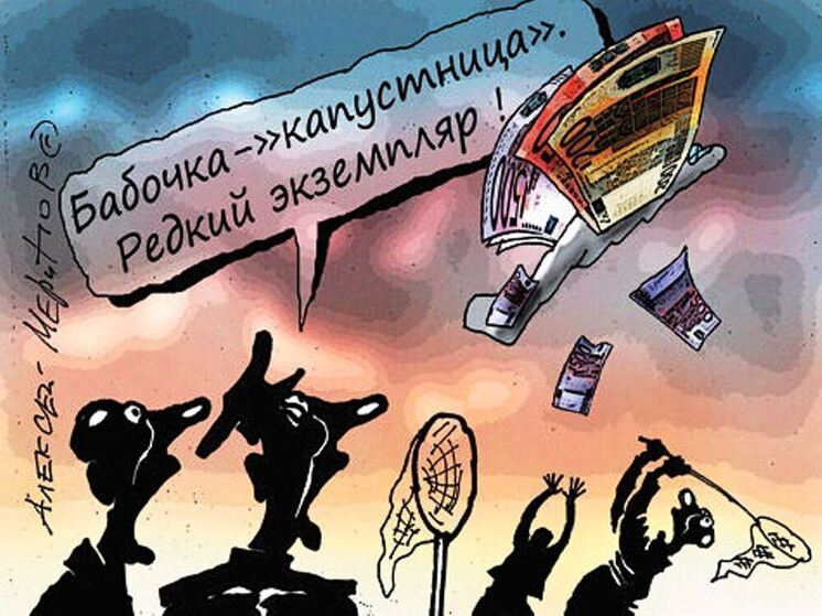 10 анекдотов про пчёл и мёд