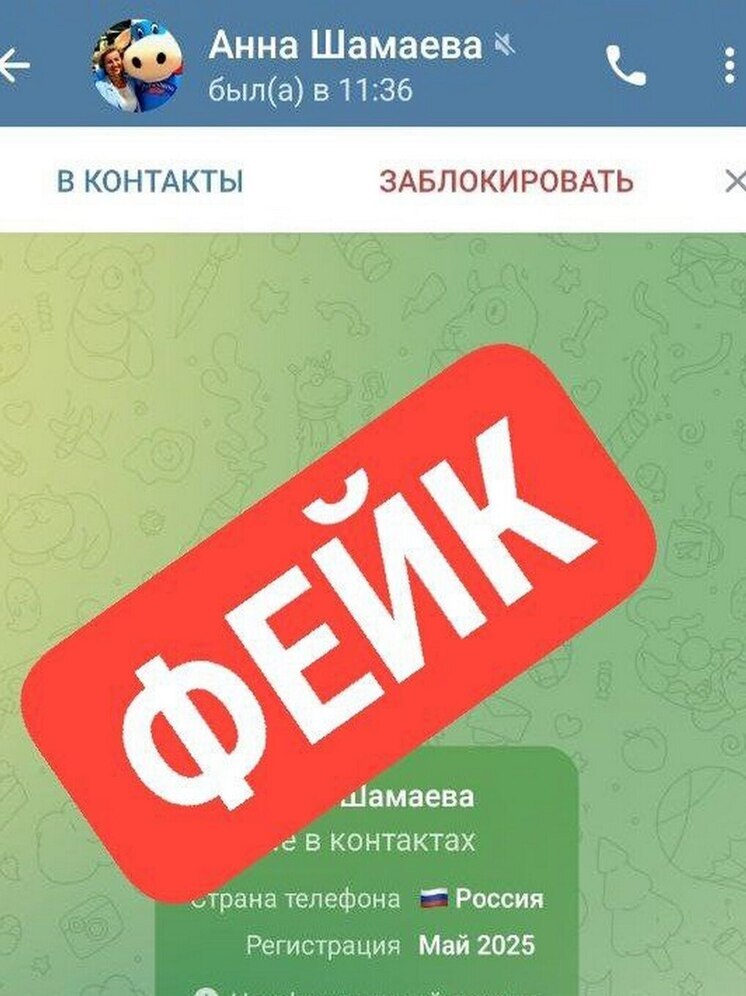 Пятый день подряд мошенники создают аккаунты замглавы администрации Липецка