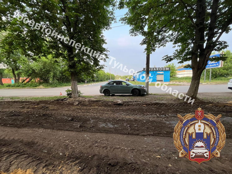 В Новомосковске автоледи на Mitsubishi въехала в столб и травмировала девочку