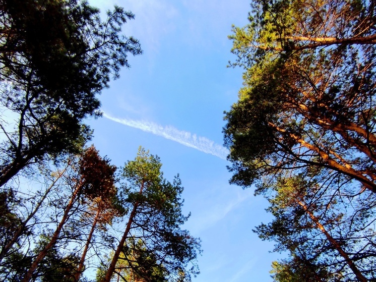 В Ставропольском крае завершились подготовительные мероприятия к пожароопасному сезону