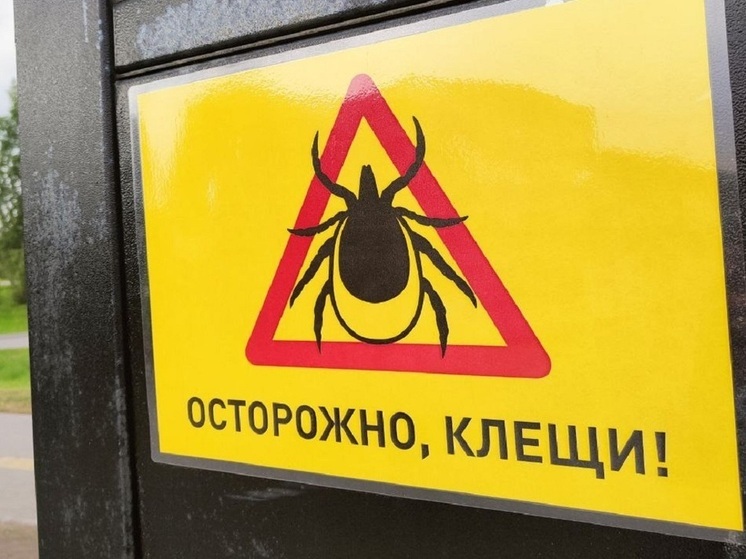 В Новосибирске четыре клеща сняли с пениса мужчины