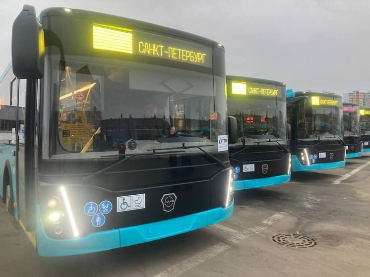 В Петербурге 120 новых «гармошек» пополнят общественный транспорт