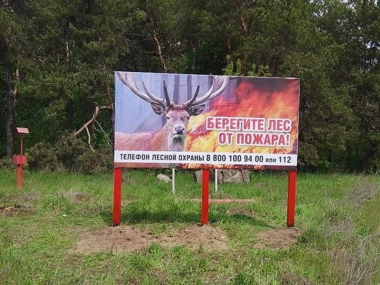 В Курской области установлен третий класс пожарной опасности