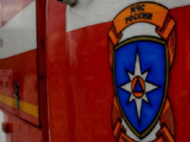 МЧС: свыше 88 млн рублей направят пострадавшим в Брянской и Курской областях